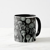 Mycetozoa van Ernst Haeckel Mok (Voorkant rechts)