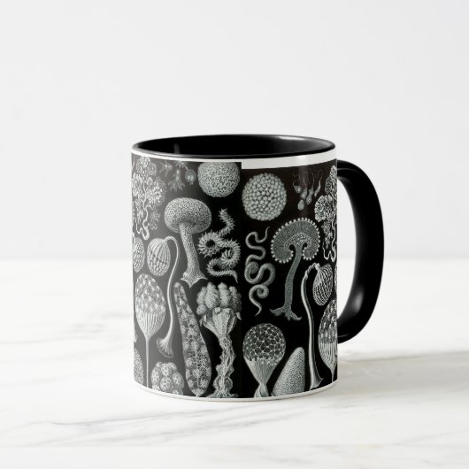 Mycetozoa van Ernst Haeckel Mok (Voorkant rechts)