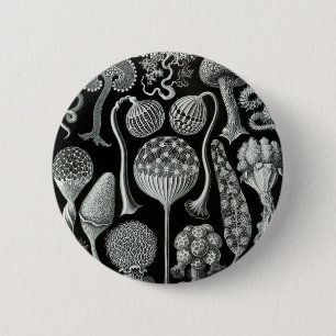 Mycetozoa van Ernst Haeckel Ronde Button 5,7 Cm