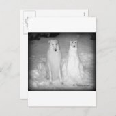 Mychtar en Zijne Snowdog. :) Feestdagenkaart (Voorkant / Achterkant)