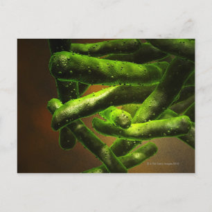 Mycobacterium Tuberculosis Briefkaart