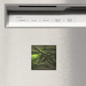 Mycobacterium tuberculosis cellen magneet (Insitu (Vaatwasser))