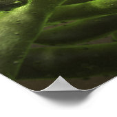 Mycobacterium tuberculosis cellen poster (Hoek)