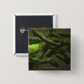 Mycobacterium tuberculosis cellen vierkante button 5,1 cm (Voorkant /achterkant)