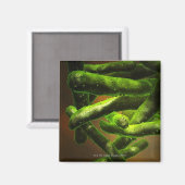 Mycobacterium Tuberculosis Magneet (Voorkant / Achterkant)
