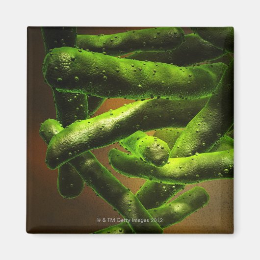 Mycobacterium Tuberculosis Magneet (Voorkant)