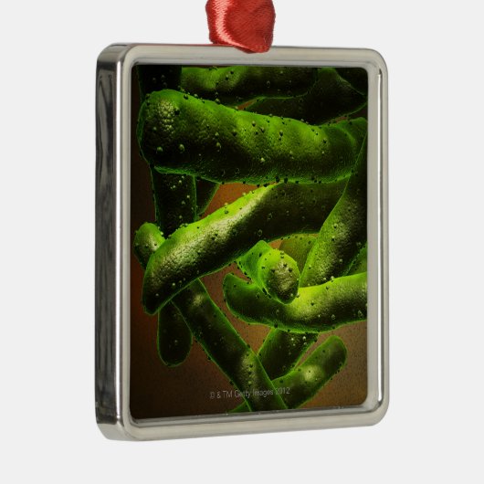 Mycobacterium Tuberculosis Metalen Ornament (Rechts)