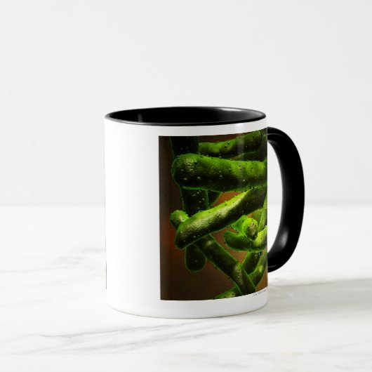 Mycobacterium Tuberculosis Mok (Voorkant rechts)