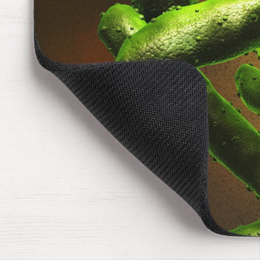 Mycobacterium Tuberculosis Muismat (Hoek)