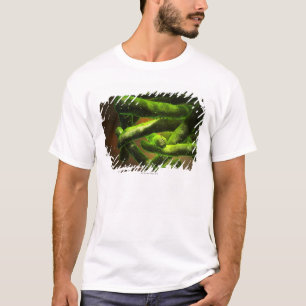 Mycobacterium Tuberculosis T-shirt