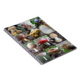 MycoJournal Notitieboek