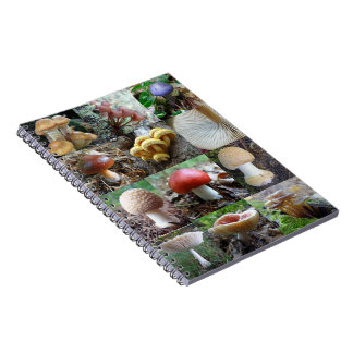 MycoJournal Notitieboek