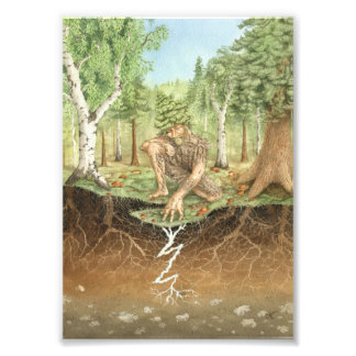 Mycorrhizal fungi dryad foto afdruk