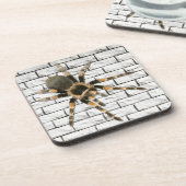 Mygale spin (Brachypelma smithi). Bier Onderzetter (Linkerzijde)