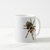 Mygale spin (Brachypelma smithi). Koffiemok (Voorkant rechts)