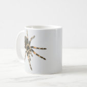 Mygale spin (Brachypelma smithi). Koffiemok (Voorkant links)