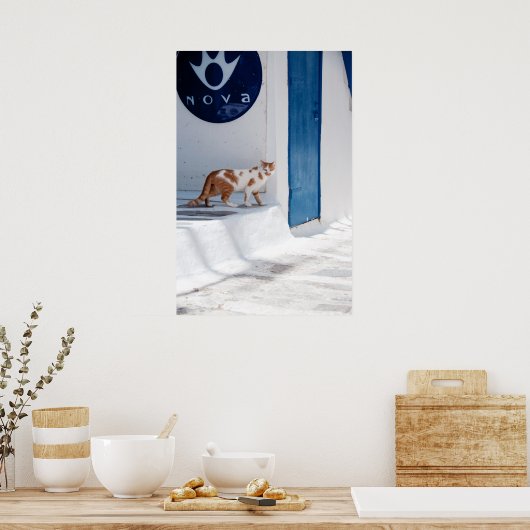 Mykonos cat - Poster (Keuken)