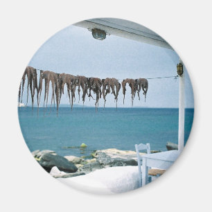 Mykonos, Griekenland Magnet