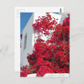 Mykonos-huizen Briefkaart (Voorkant / Achterkant)