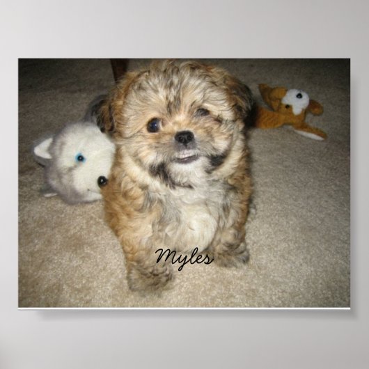 Myles Poster (Voorkant)