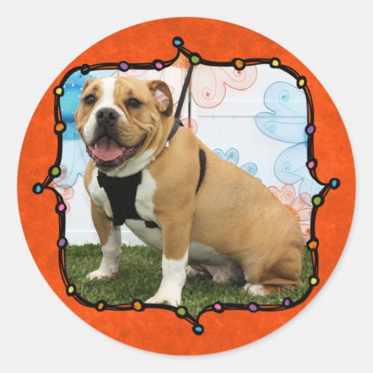 Mylo - English Bulldog Ronde Sticker (Voorkant)