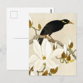 Myna On Magnolia Branch by Koson, Common Hill Myna Briefkaart (Voorkant / Achterkant)
