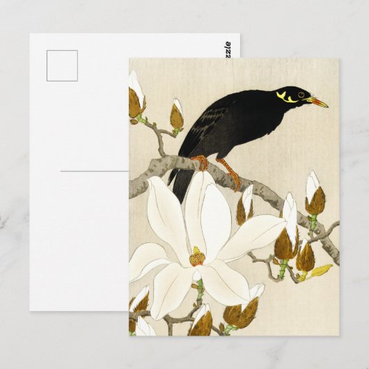 Myna On Magnolia Branch by Koson, Common Hill Myna Briefkaart (Voorkant / Achterkant)
