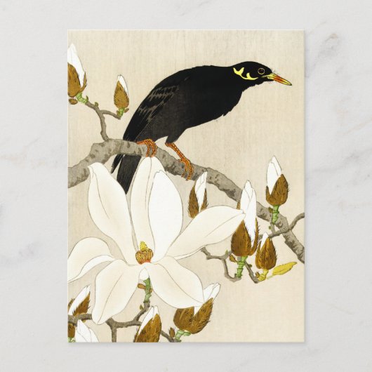 Myna On Magnolia Branch by Koson, Common Hill Myna Briefkaart (Voorkant)