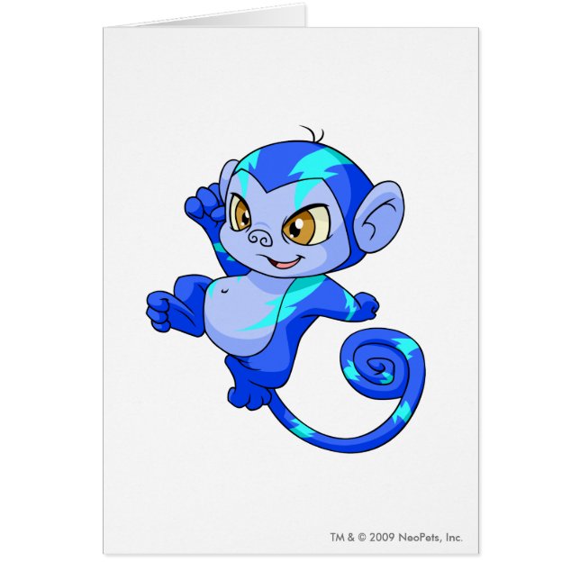 Mynci Electric (Voorkant)