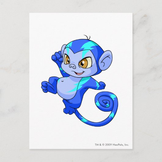 Mynci Electric Briefkaart (Voorkant)