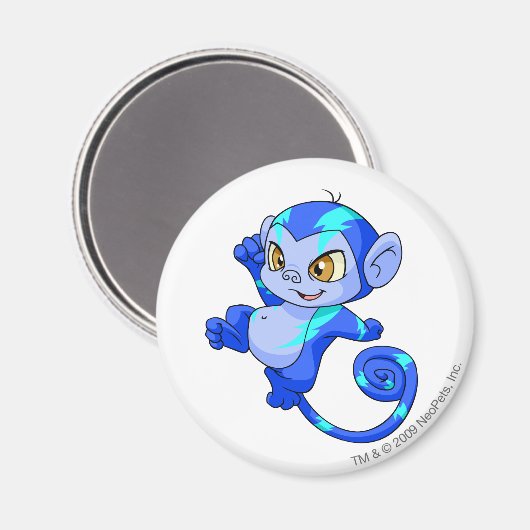 Mynci Electric Magneet (Voorkant / Achterkant)