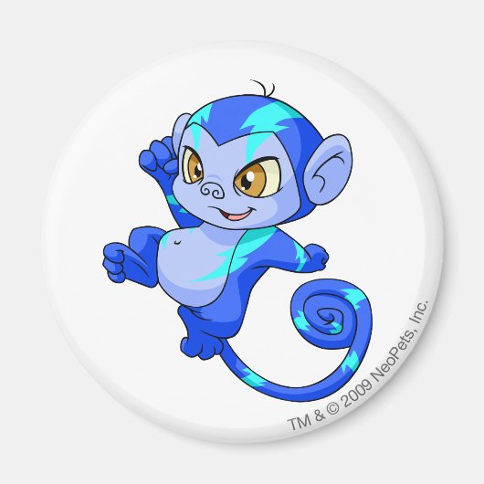 Mynci Electric Magneet (Voorkant)