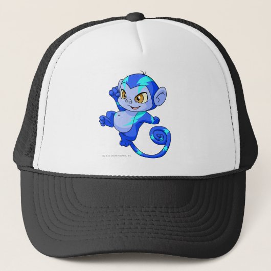 Mynci Electric Trucker Pet (Voorkant)
