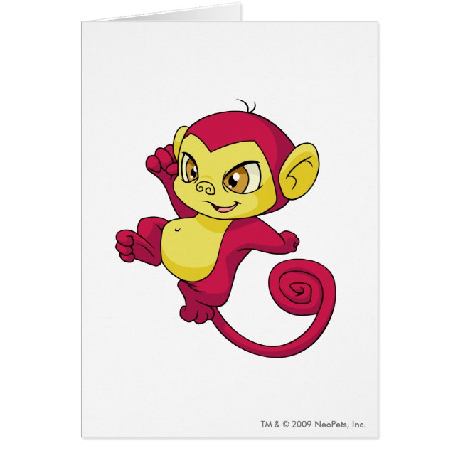 Mynci Red (Voorkant)