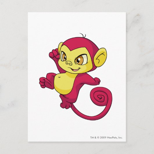 Mynci Red Briefkaart (Voorkant)