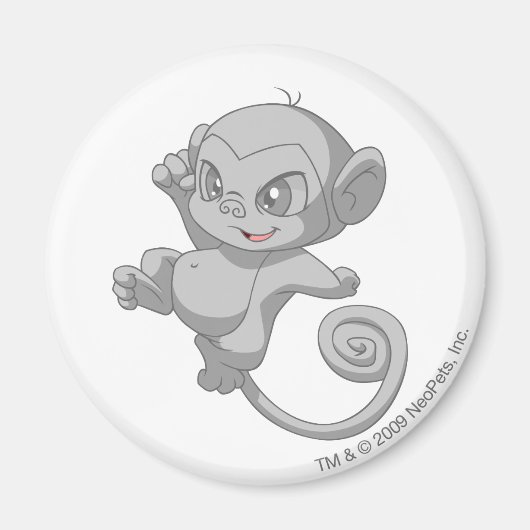 Mynci Silver Magneet (Voorkant)