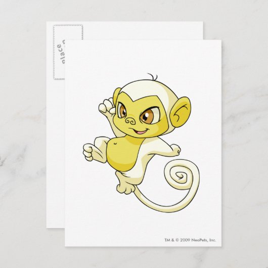 Mynci White Briefkaart (Voorkant / Achterkant)