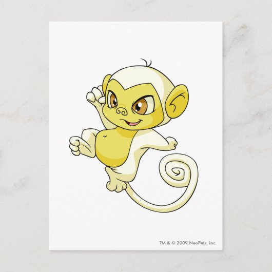 Mynci White Briefkaart (Voorkant)