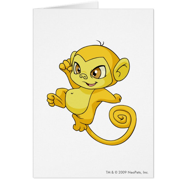 Mynci Yellow (Voorkant)