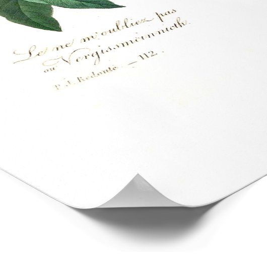 Myosotis scorpioides poster (Hoek)