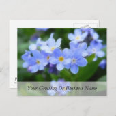 Myosotis sylvatica - Vergeet de opmerkingen Briefkaart (Voorkant / Achterkant)