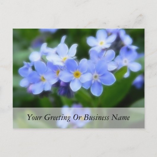 Myosotis sylvatica - Vergeet de opmerkingen Briefkaart (Voorkant)