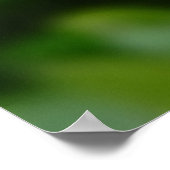 Myosotis sylvatica - Vergeet de opmerkingen Poster (Hoek)