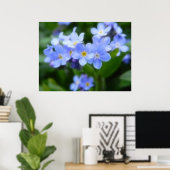 Myosotis sylvatica - Vergeet de opmerkingen Poster (Thuiskantoor)
