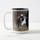 MYOTONIC KINDER COFFEE MOK (Links)