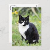 Myrdha de kat briefkaart (Voorkant / Achterkant)