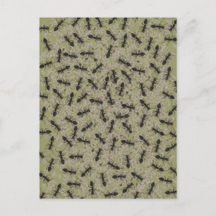 Myrmecofobie Briefkaart