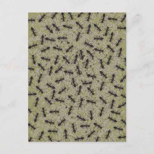 Myrmecofobie Briefkaart (Voorkant)