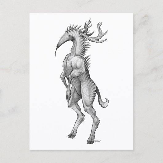 Myrmedeer - Briefkaart (Voorkant)