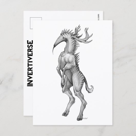 Myrmedeer - Briefkaart (Voorkant / Achterkant)